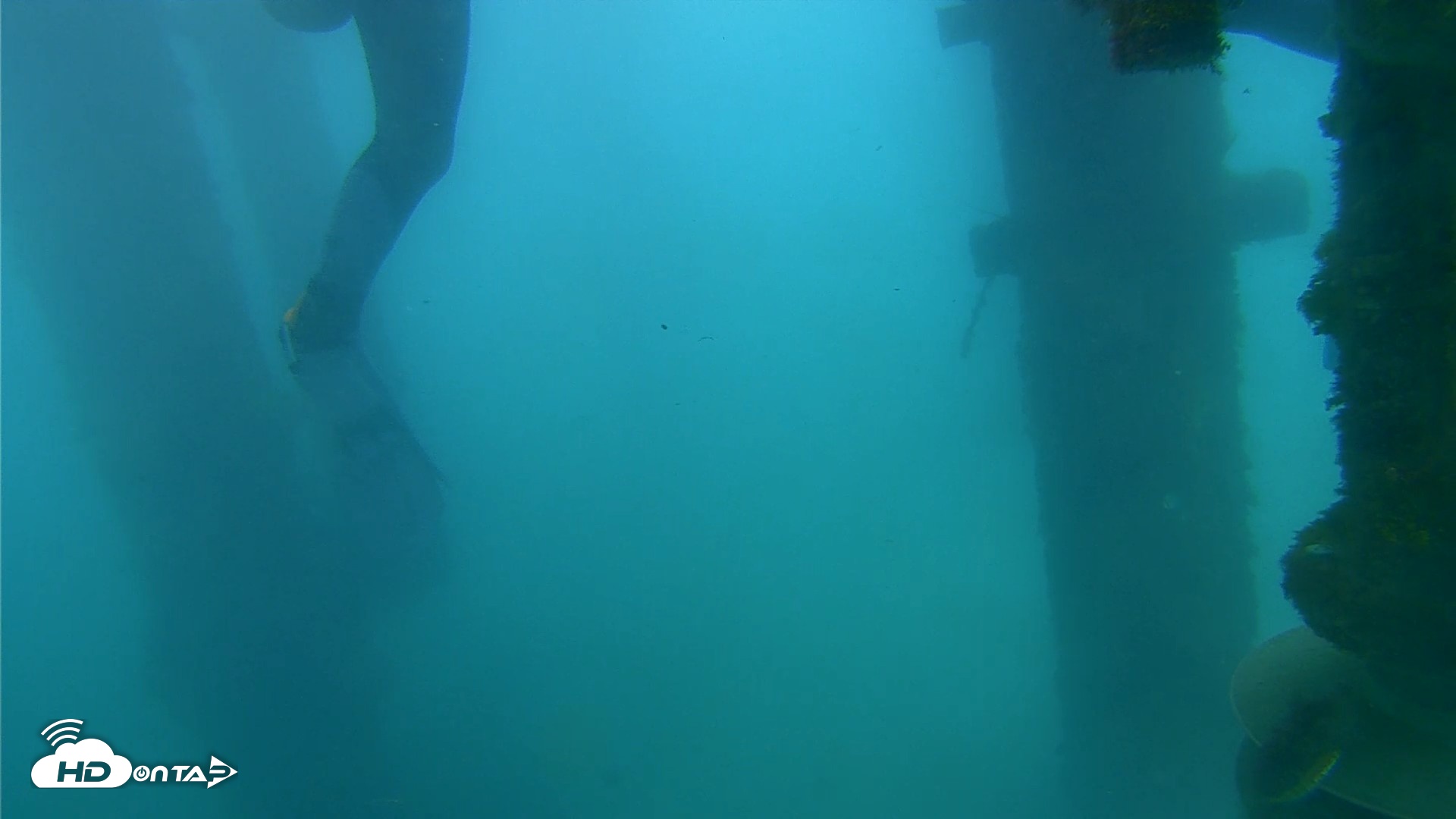 Snapshot of Dana Point Harbor Laguna Cliffs Resort Live Webcam taken Apr 13, 2026, 11:19am PDT