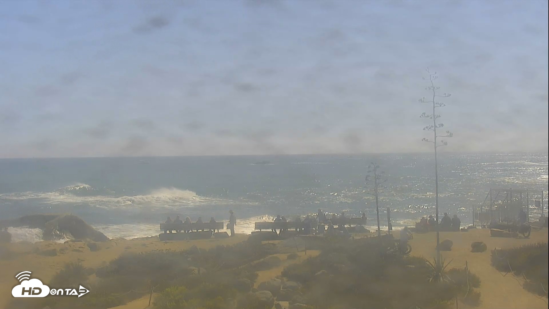 Snapshot of Dana Point Harbor Laguna Cliffs Resort Live Webcam taken Jul 21, 2026, 4:03pm PDT