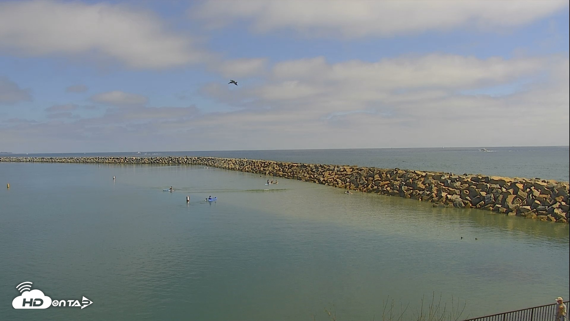 Snapshot of Dana Point Harbor Laguna Cliffs Resort Live Webcam taken Jun 17, 2026, 3:19pm PDT