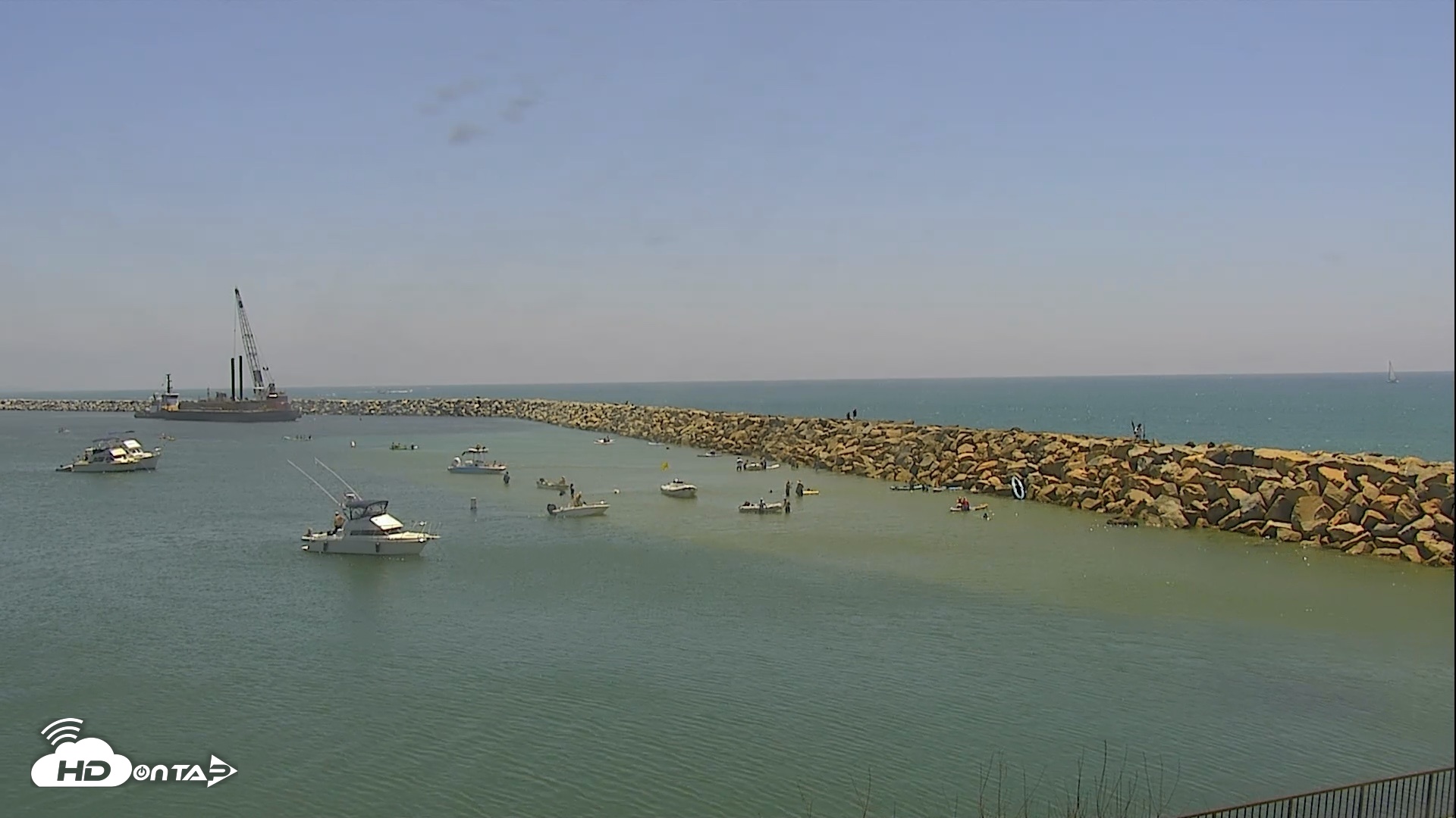 Snapshot of Dana Point Harbor Laguna Cliffs Resort Live Webcam taken Aug 8, 2026, 12:52pm PDT