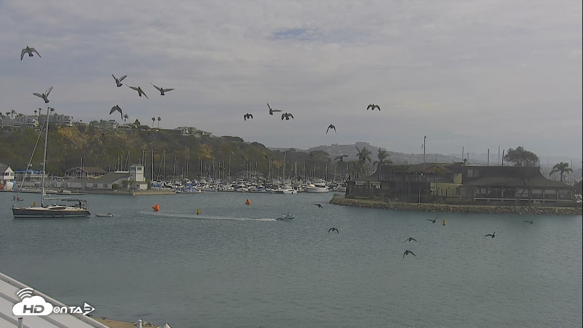 Snapshot of Dana Point Harbor Laguna Cliffs Resort Live Webcam taken Oct 10, 2026, 10:42am PDT