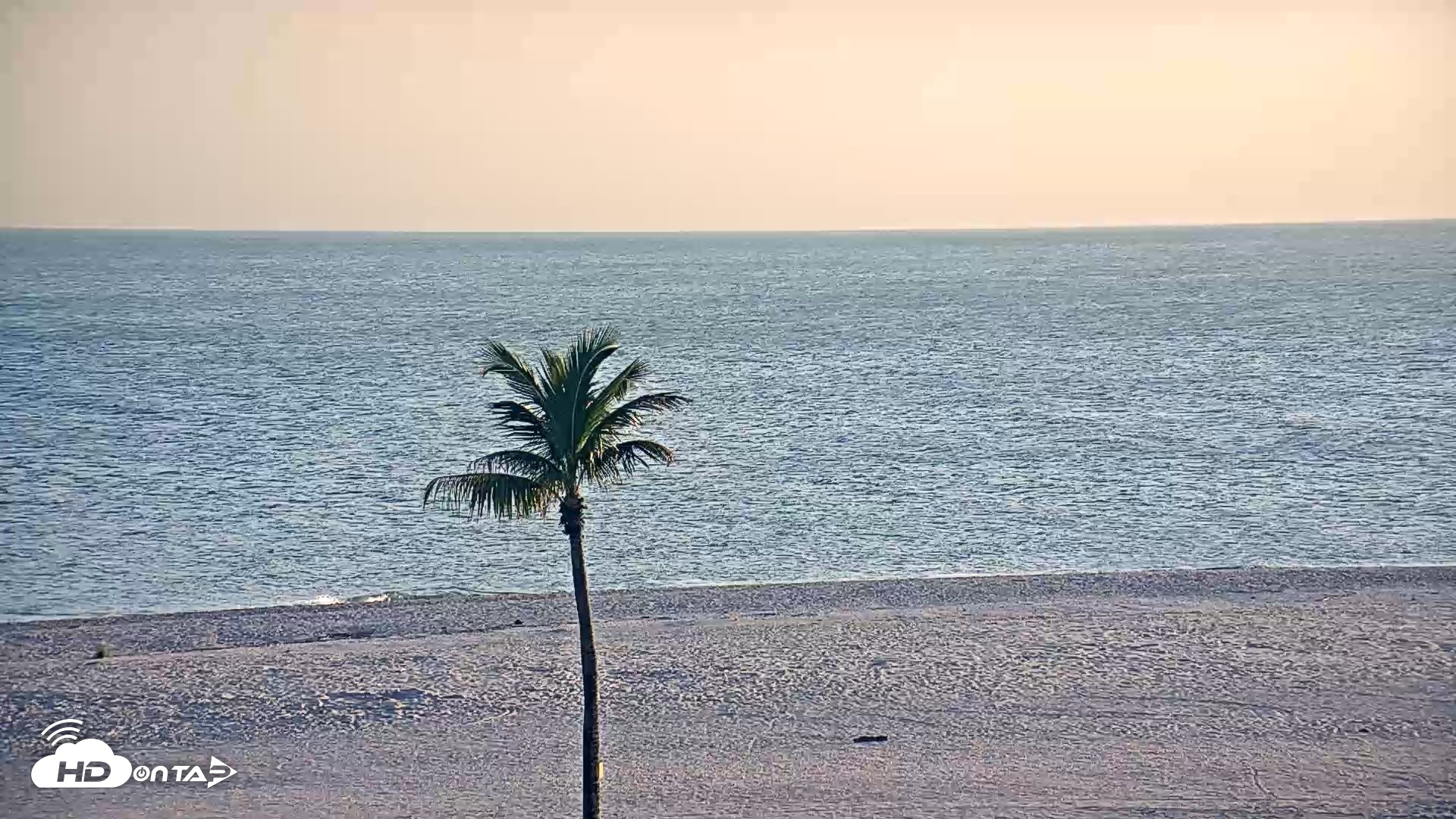 Snapshot of Dana Point Harbor Laguna Cliffs Resort Live Webcam taken Apr 13, 2026, 4:21pm PDT