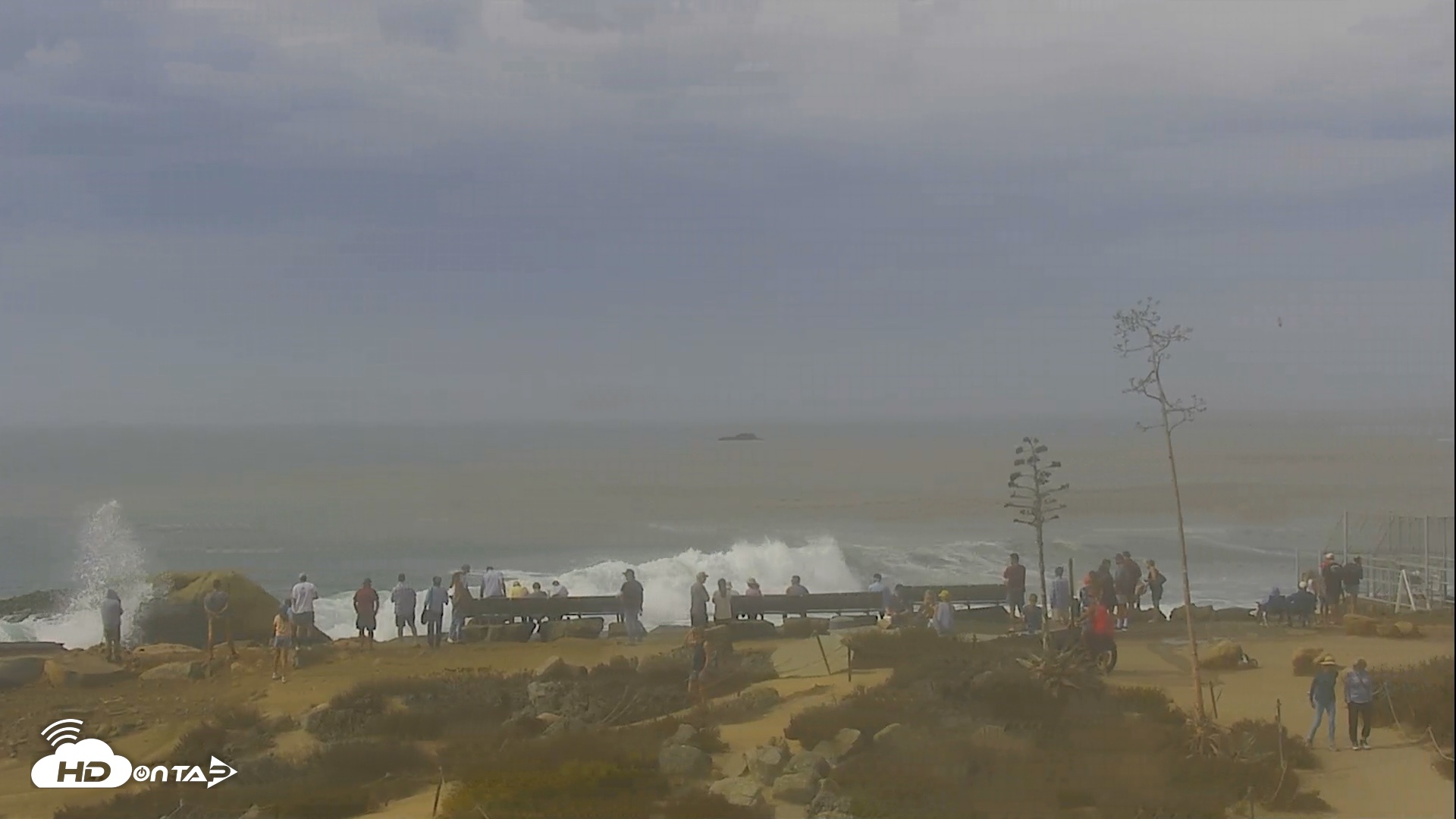 Snapshot of Dana Point Harbor Laguna Cliffs Resort Live Webcam taken Oct 10, 2026, 10:46am PDT
