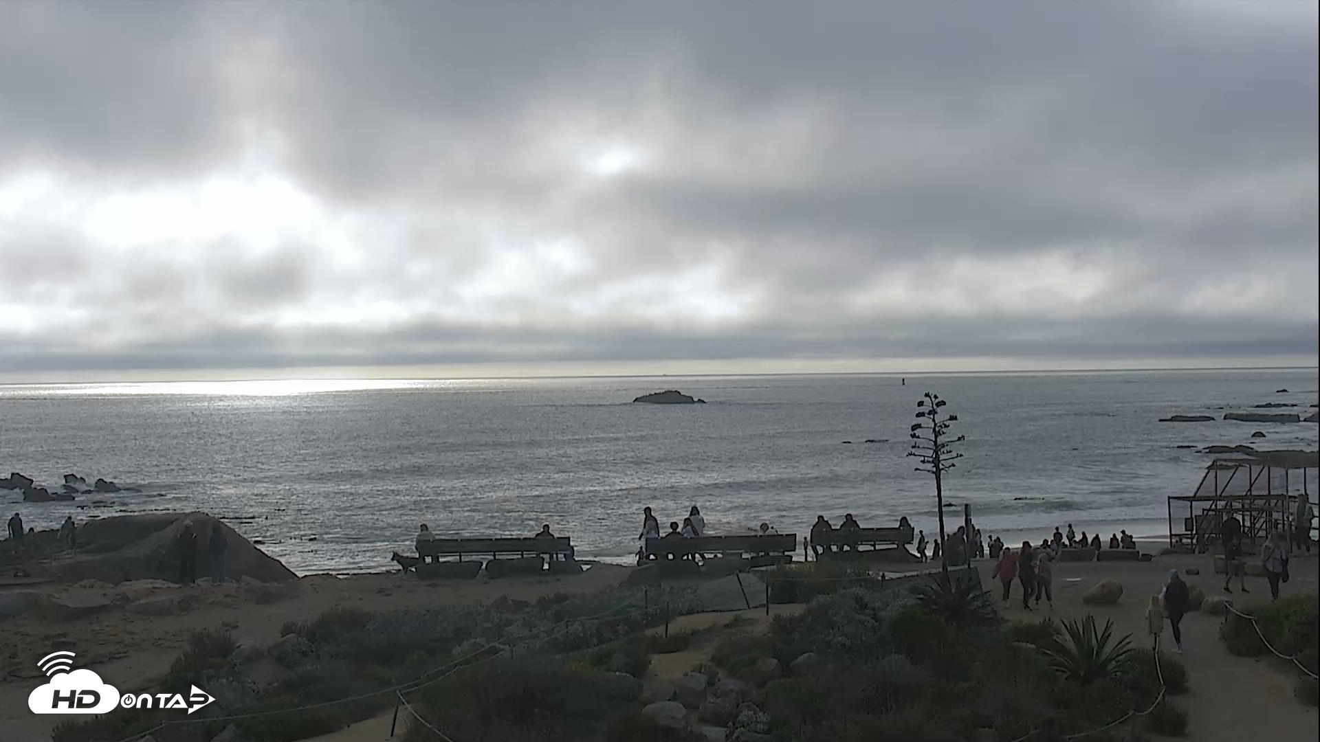 Snapshot of Dana Point Harbor Laguna Cliffs Resort Live Webcam taken Jan 2, 2026, 3:21pm PST