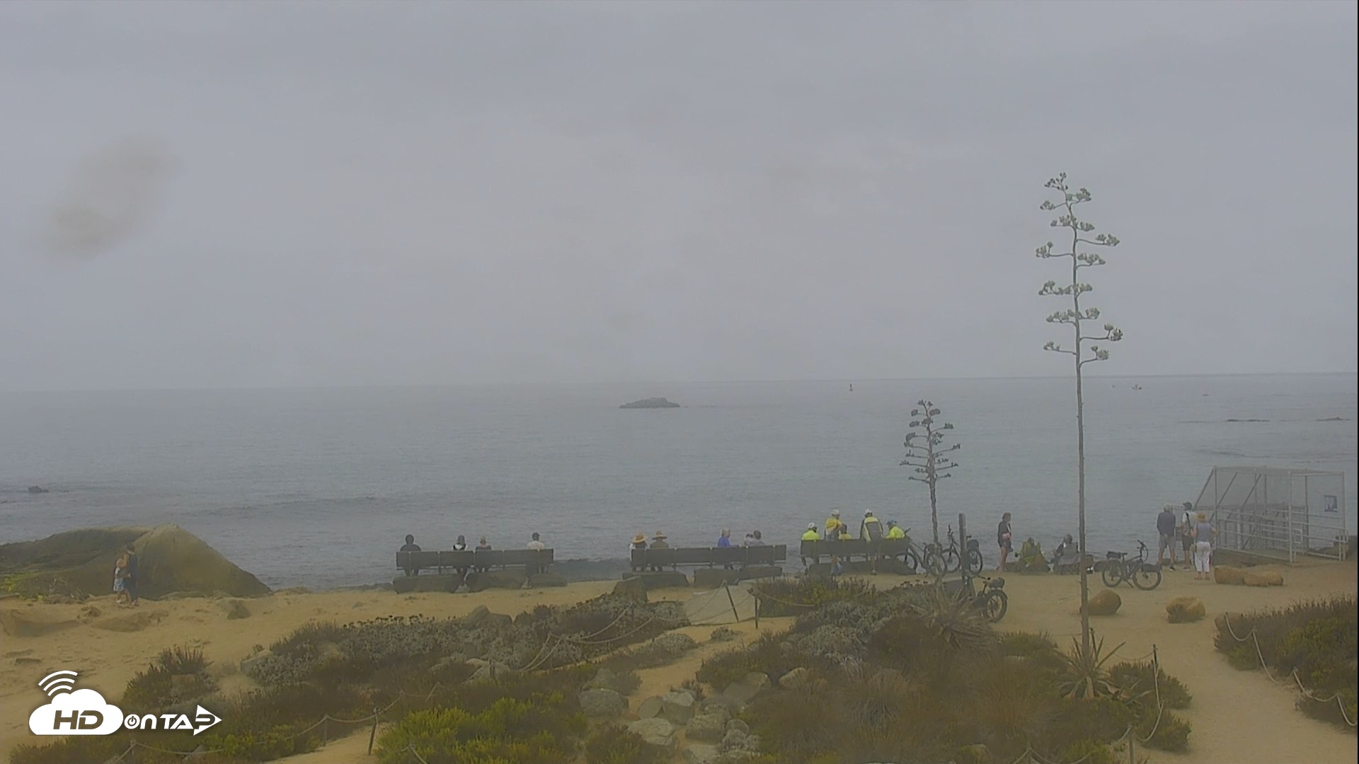 Snapshot of Dana Point Harbor Laguna Cliffs Resort Live Webcam taken Aug 5, 2026, 9:16am PDT