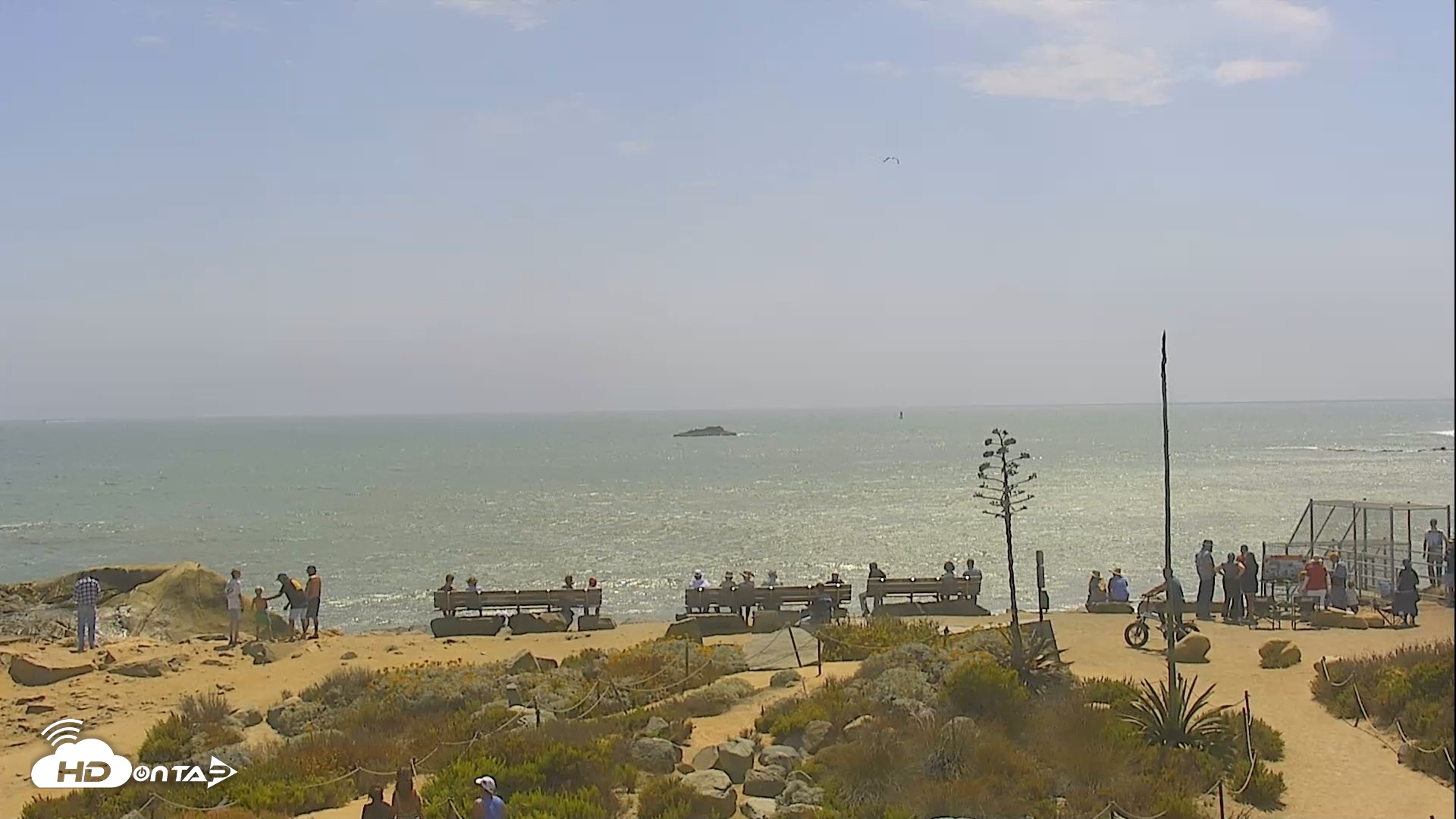 Snapshot of Dana Point Harbor Laguna Cliffs Resort Live Webcam taken Jun 12, 2026, 2:41pm PDT