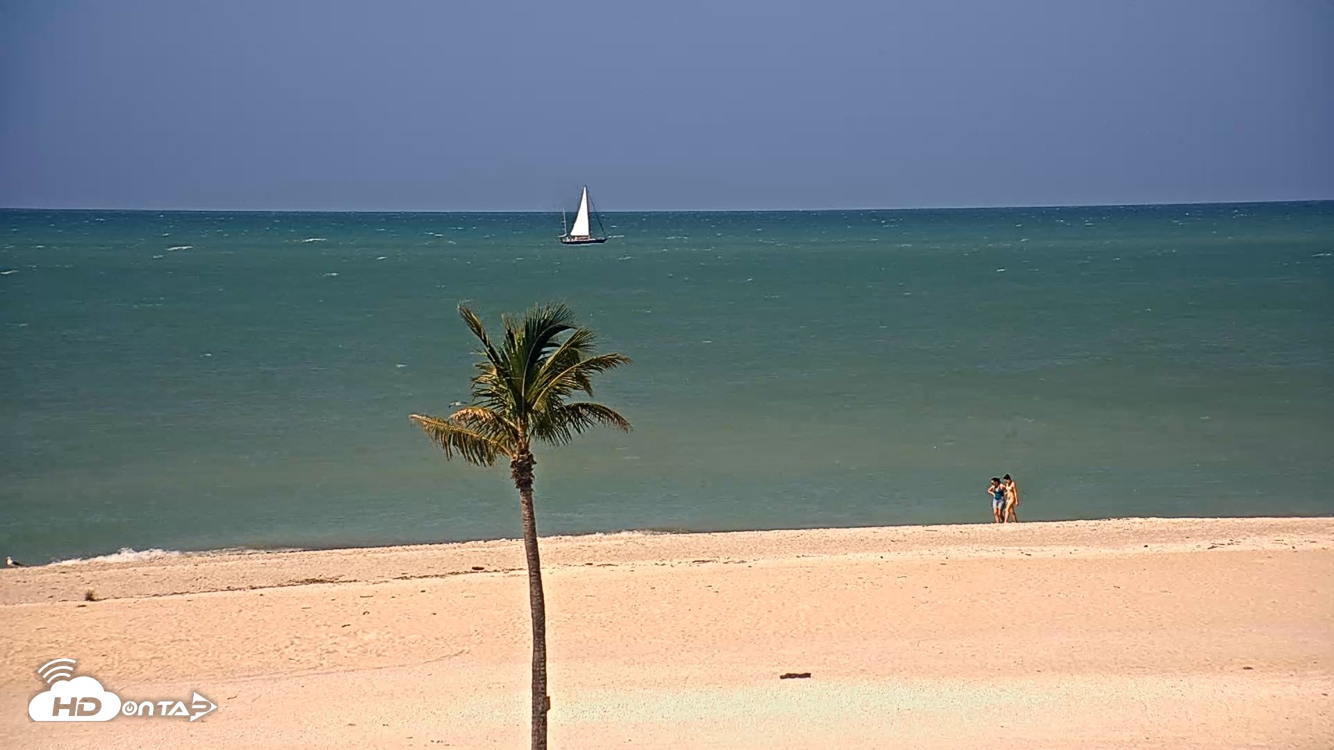 Snapshot of Dana Point Harbor Laguna Cliffs Resort Live Webcam taken Apr 13, 2026, 7:51am PDT