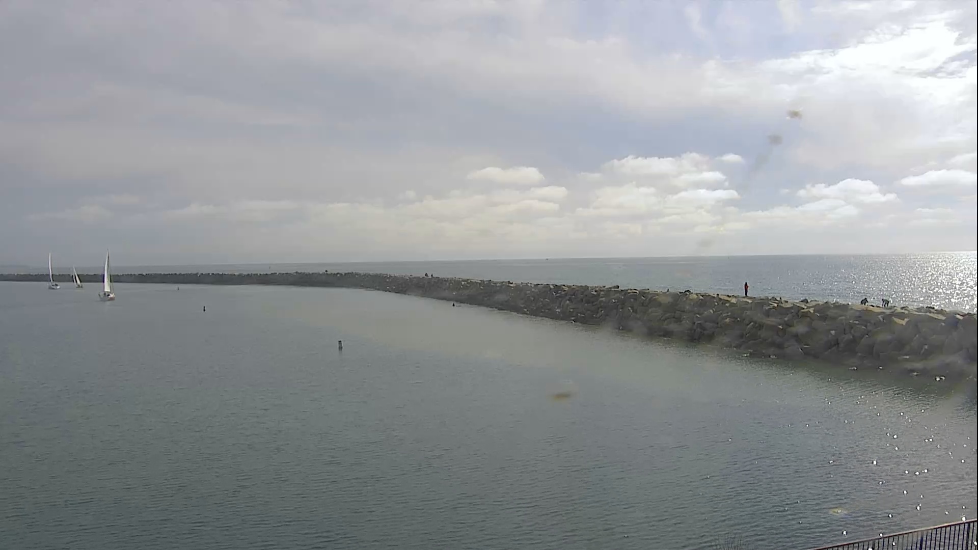 Snapshot of Dana Point Harbor taken Jan 16, 2025, 12:57pm PST