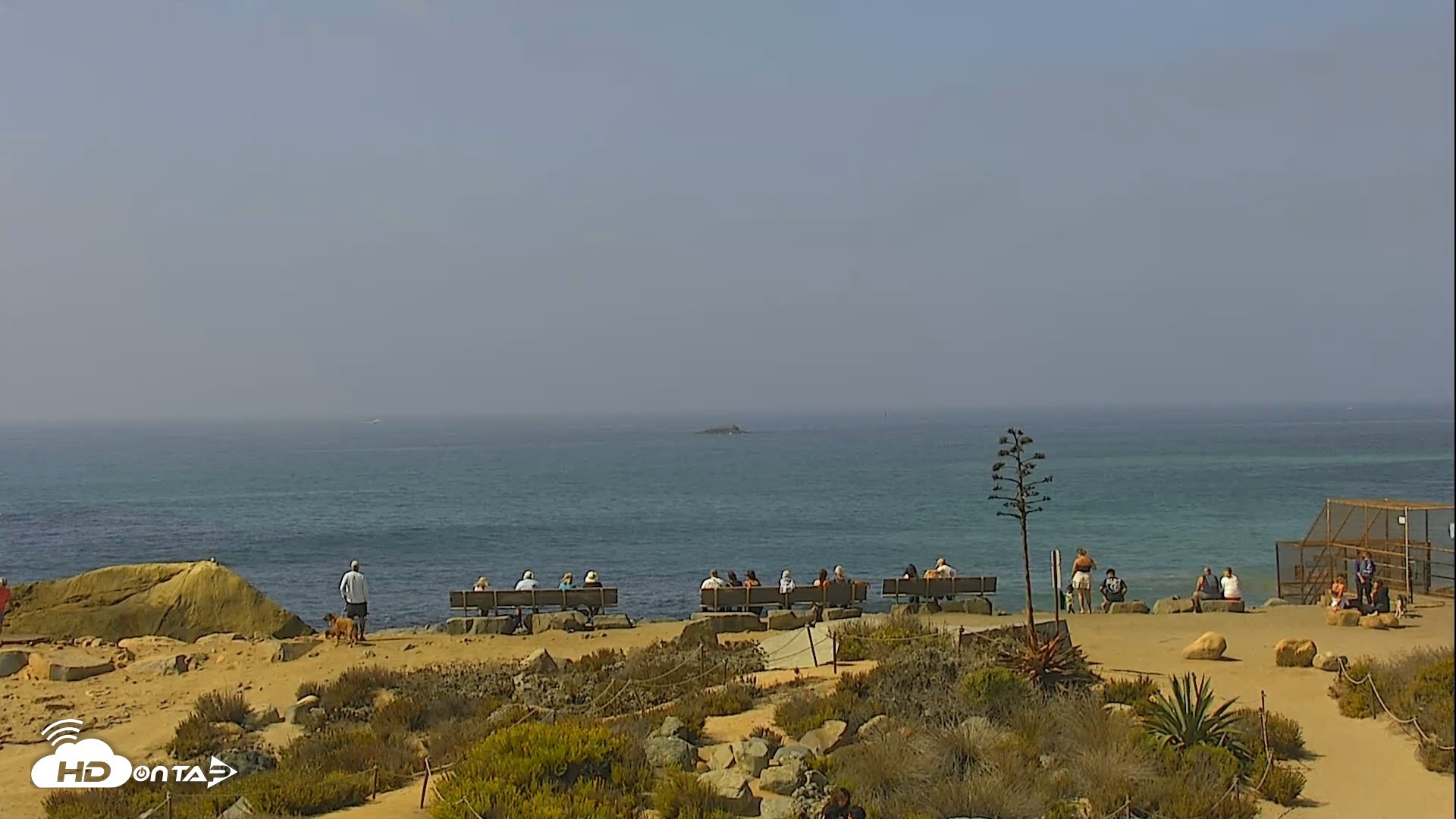 Snapshot of Dana Point Harbor Laguna Cliffs Resort Live Webcam taken Sep 22, 2025, 11:04am PDT