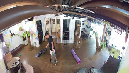Cozy indoor cat café room with climbing posts, seating, cat toys and soft lighting where cats roam freely.