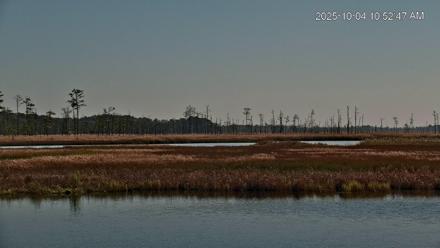 Blackwater Osprey River Platform