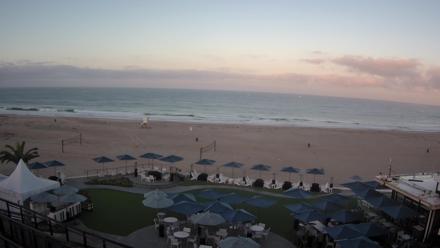 A seaside resort view with palm trees, a sandy beach, and gentle ocean waves under clear blue skies.