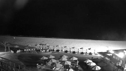 A seaside resort view with palm trees, a sandy beach, and gentle ocean waves under clear blue skies.