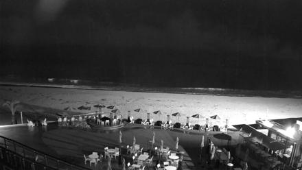 A seaside resort view with palm trees, a sandy beach, and gentle ocean waves under clear blue skies.