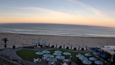 A seaside resort view with palm trees, a sandy beach, and gentle ocean waves under clear blue skies.