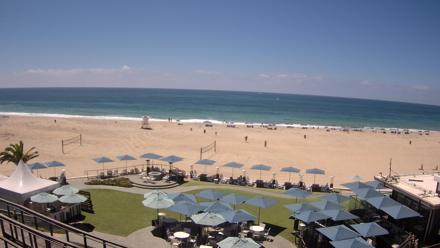 A seaside resort view with palm trees, a sandy beach, and gentle ocean waves under clear blue skies.
