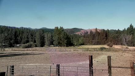 Live webcam view of horses trotting in the main arena at Greenhorn Ranch in Quincy, California.