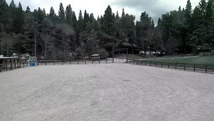 Live webcam view of horses trotting in the main arena at Greenhorn Ranch in Quincy, California.