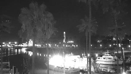 Lighthouse and harbor docks at Long Beach with palm trees and calm waters in view