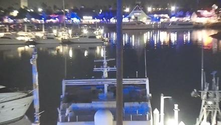 Lighthouse and harbor docks at Long Beach with palm trees and calm waters in view
