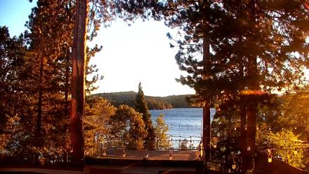 A bright lakeside view from Lake Arrowhead Resort showing green lawn, tall pine trees, and blue lake water beyond.