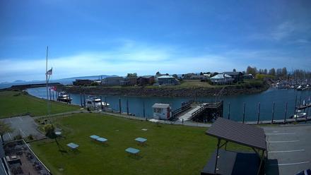 Marina entrance and boats as they come and go from Point Roberts Marina.
