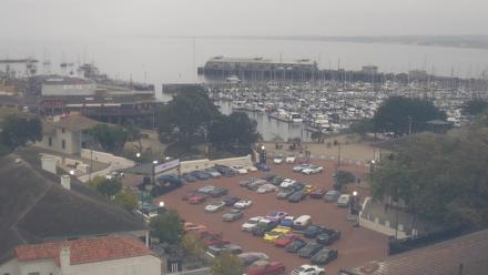 Boats moored at Monterey Harbor with oceanfront docks and coastal skyline in view