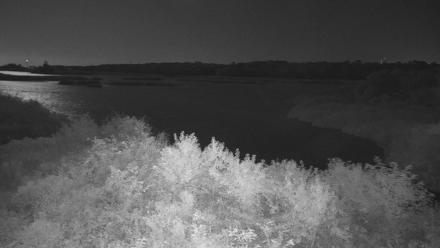 Hog Island WMA