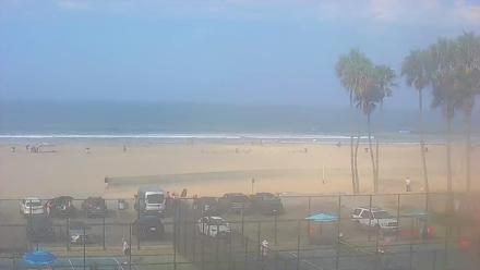 Broad view of Venice Beach shoreline, waves rolling into sandy beach under palm trees