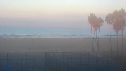 Broad view of Venice Beach shoreline, waves rolling into sandy beach under palm trees