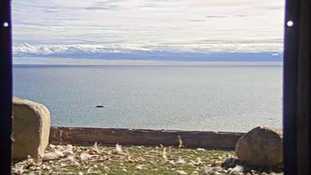 Briess Falcon Cam