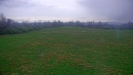 Морли Теннесси лоси