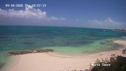 A tropical beachfront scene with white sand, palm trees, and turquoise ocean under a bright sky.