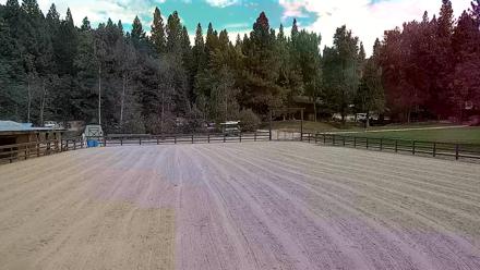Live webcam view of horses trotting in the main arena at Greenhorn Ranch in Quincy, California.