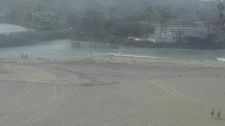 Dogs running and splashing at the river mouth where it meets the Pacific, framed by sandy beach and coastal vegetation