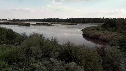 A sweeping view of tidal marshes, open water, and wetland habitat on Hog Island in Virginia