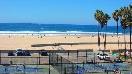 Broad view of Venice Beach shoreline, waves rolling into sandy beach under palm trees