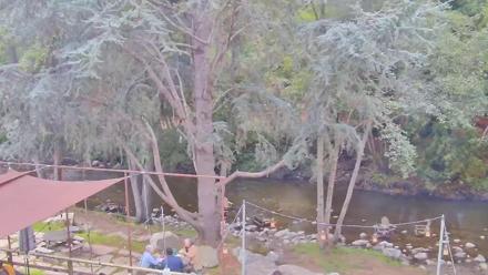 A peaceful riverside at Big Sur River Inn with clear shallow water, tall trees, and glowing string lights over Adirondack chairs.