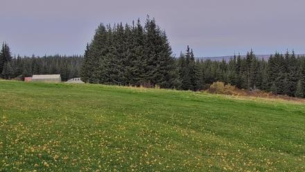 Inspiration Ridge