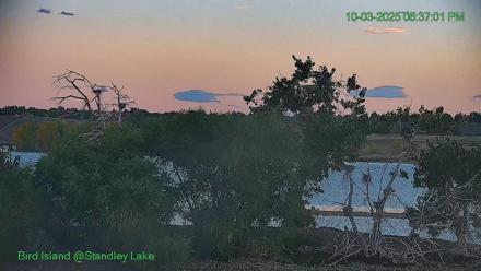 Bird Island Standley Lake
