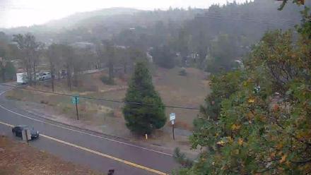 Road view of Hwy 79 winding through Julian’s tree-lined hillside, flanked by native pines and mountain terrain under shifting skies.