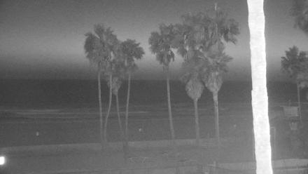 Venice Beach Surf