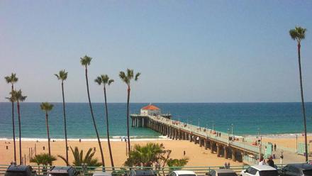 A coastal view of Manhattan Beach Pier with palm trees, sandy shoreline, and the pier stretching into the Pacific under a soft sky.