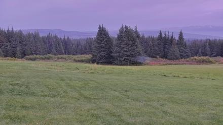 Rolling ridge and meadow scenery overlooking Kachemak Bay from Inspiration Ridge near Homer, Alaska