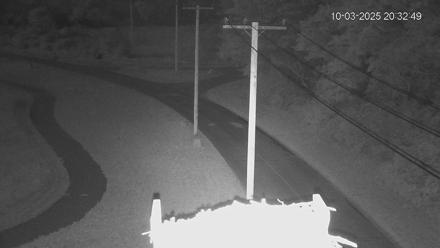 Fishers Island Middle Farms Ospreys