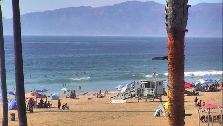 PTZ surf cam roves over El Porto shoreline, surfers and rolling waves by lifeguard towers in Manhattan Beach, California.
