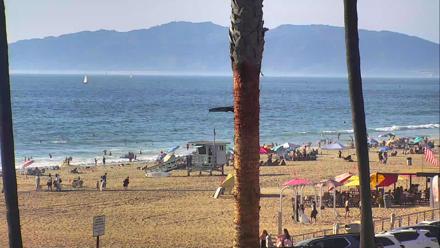 PTZ surf cam roves over El Porto shoreline, surfers and rolling waves by lifeguard towers in Manhattan Beach, California.