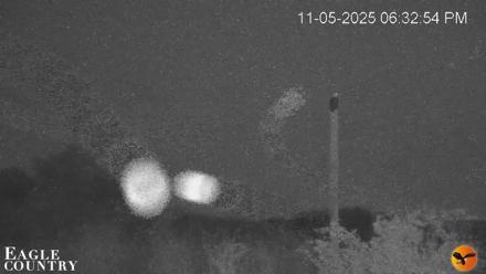 Live PTZ view of Southwest Florida river and pastures with eagles, alligators, turtles and Sandhill Cranes seen in natural surroundings.